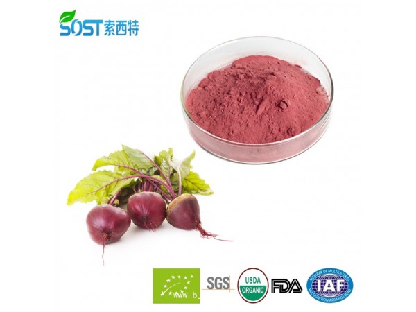 甜菜根粉 西安索西特生物 甜菜粉 現(xiàn)貨供應(yīng)