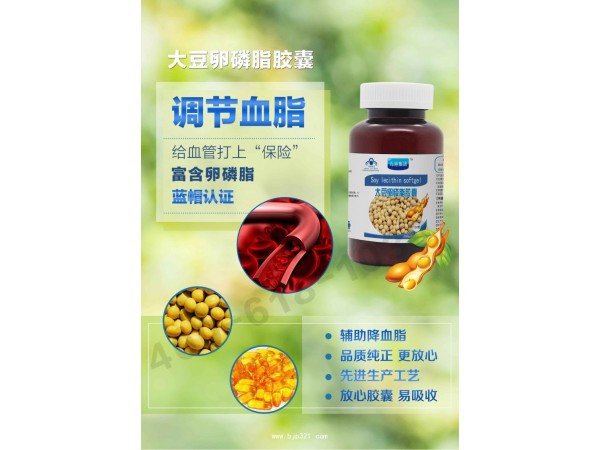 大豆卵磷脂（100、200粒）