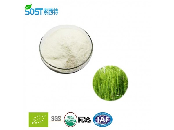 水楊甙 西安索西特生物 長期供應