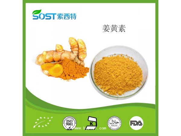 姜黃素 姜黃提取物 姜黃粉 西安索西應(yīng)