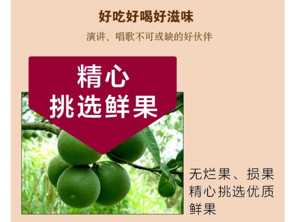 紫英莊 化州橘紅片