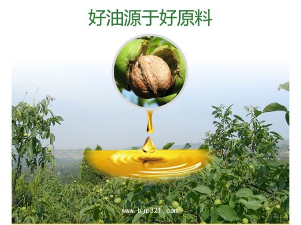口服核桃油 200ML 廠家生產(chǎn) 質(zhì)量保障