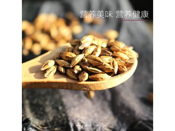 江蘇常州大麥茶150g/瓶清香彌漫 自然滋養(yǎng)