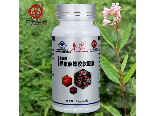 羅布麻 OEM 貼牌 代加工 羅布麻加工廠