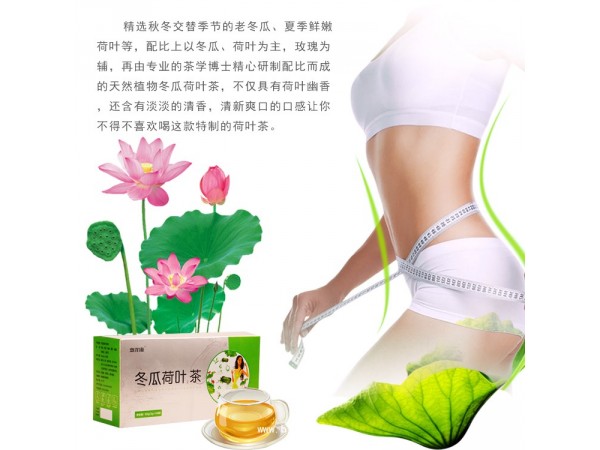 惠澤康冬瓜荷葉袋泡茶廠家代加工