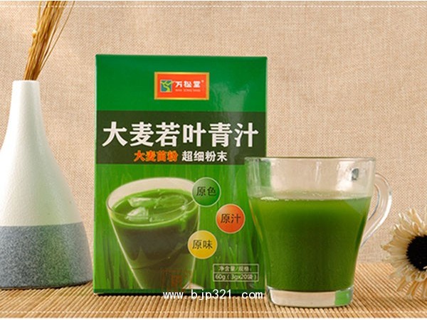 大麥若葉青汁 大麥苗粉益生元酵素青汁定制加工