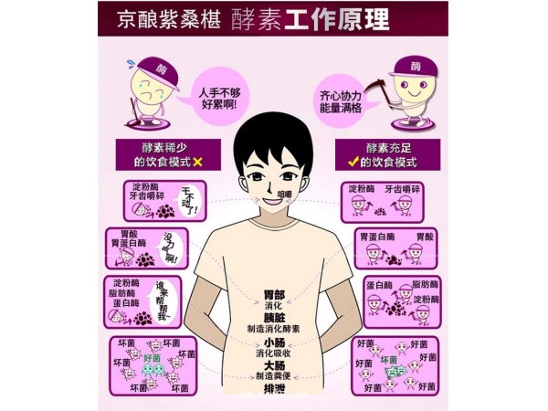 紫桑椹酵素口服液