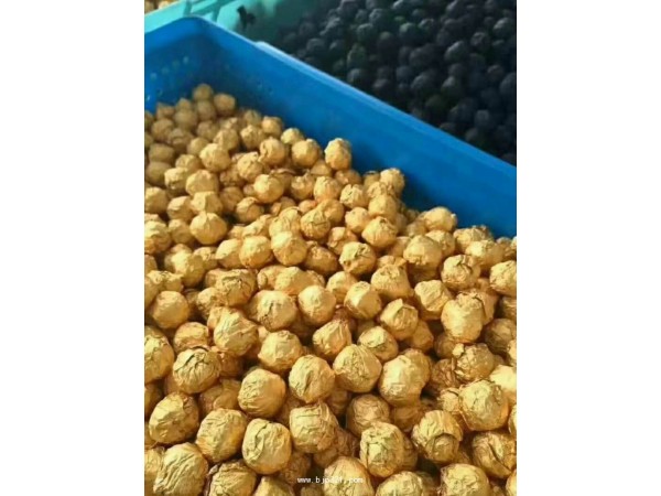丸劑貼牌代加工 蜜丸
