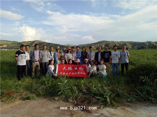 魚皮膠原蛋白肽小分子肽好吸收