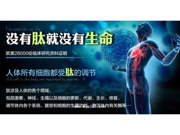 山藥肽山藥小分子肽98%好吸收