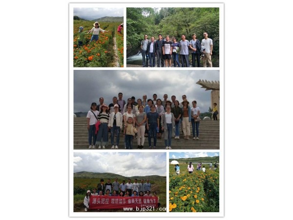 葵花盤小分子肽