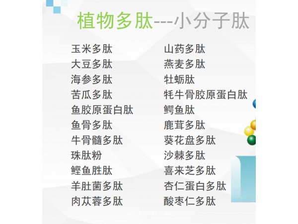 白樺茸多肽小分子好吸收