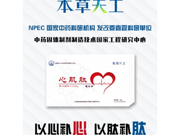 心肌肽