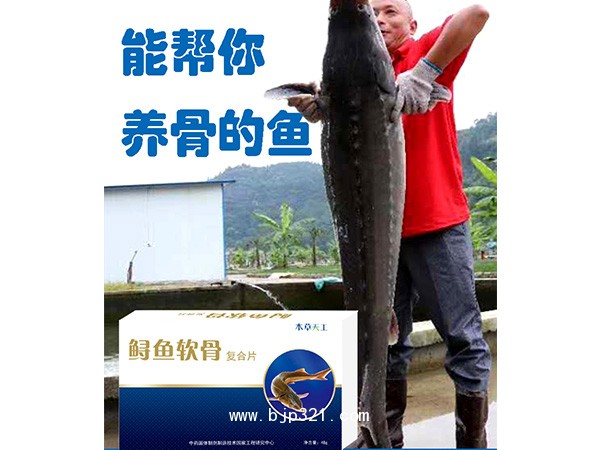 鱘魚軟骨復(fù)合片