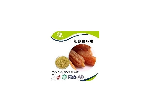 艾森格供應人參提取物  人參皂苷80%  人參粉