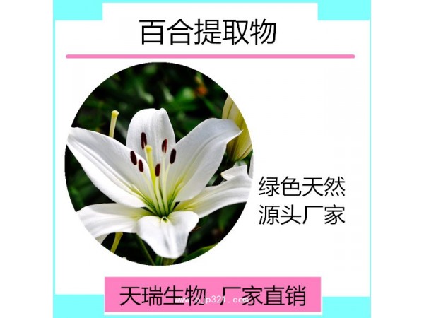 百合提取物