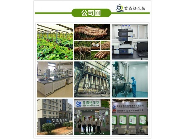 人參根 莖葉提取物 人參皂甙 低農(nóng)殘