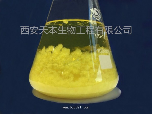 淫羊藿提取物 淫羊藿單甙98% 廠家現(xiàn)貨