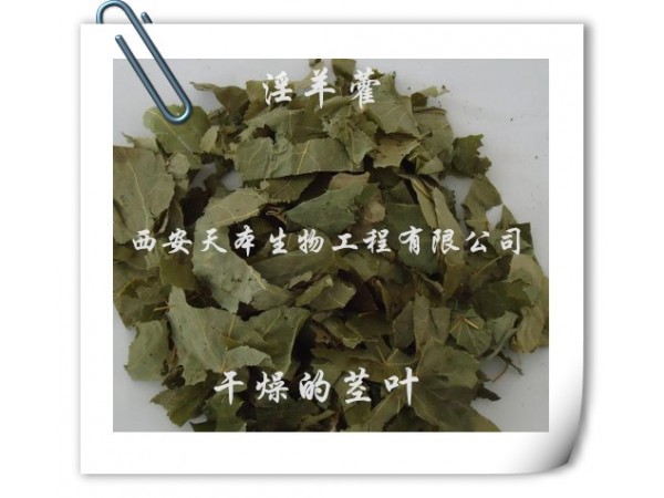 淫羊藿提取物 淫羊藿單甙98% 廠家現(xiàn)貨