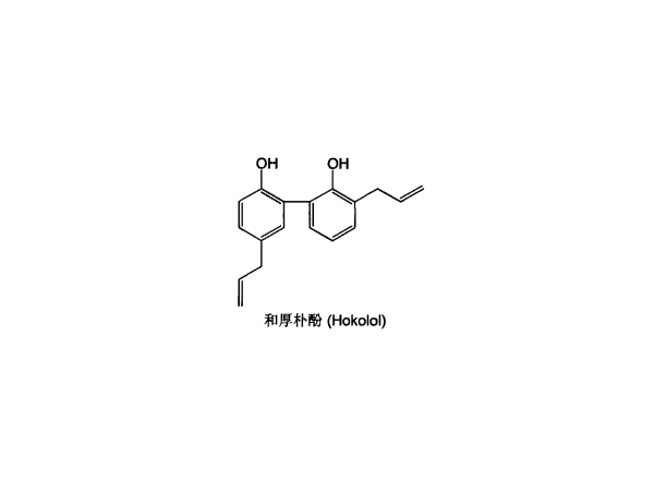 厚樸提取物  規(guī)格齊全 現(xiàn)貨供