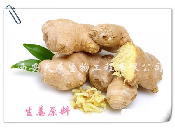 生姜提取物 姜辣素5%-10% 直銷包郵