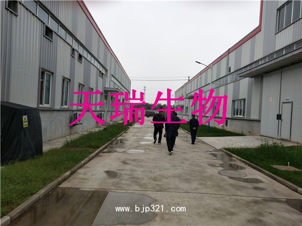 葛根提取物資質(zhì)齊全SC認(rèn)證OEM代加工