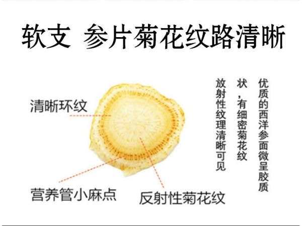 樂(lè)康柏年 長(zhǎng)白山西洋參切片