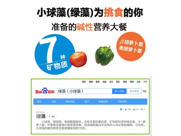 重磅推出蛋白核小球藻純粉片——藻白金