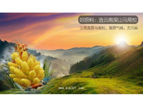 云益破壁松花粉片150g