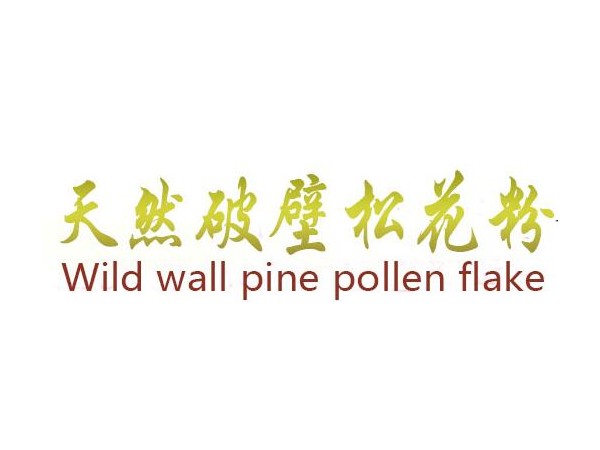 云益破壁松花粉片200片/瓶