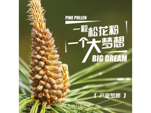 云益破壁松花粉片200片/瓶