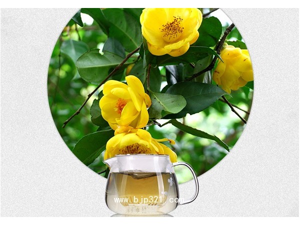 岜馬源金花茶袋泡茶