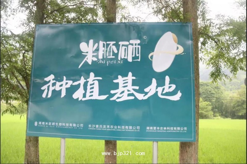 米胚硒種植基地_20190314085747
