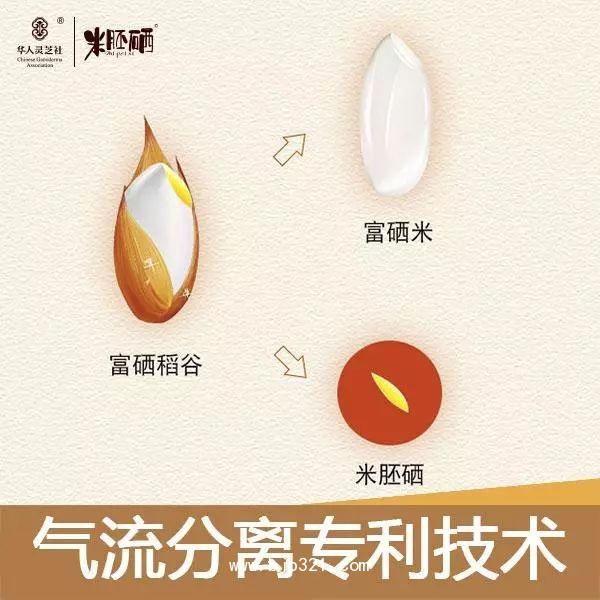微信圖片_20190314090011