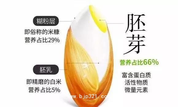 米胚硒_20190315085554