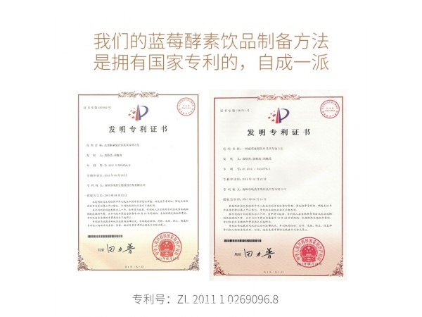 水中圣藍莓酵素復合飲品