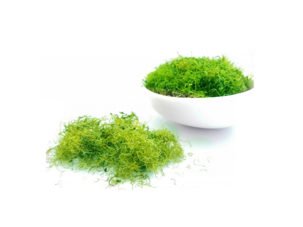 銘臻堂秦巴云霧龍須茶 七葉絞股藍(lán)龍須茶