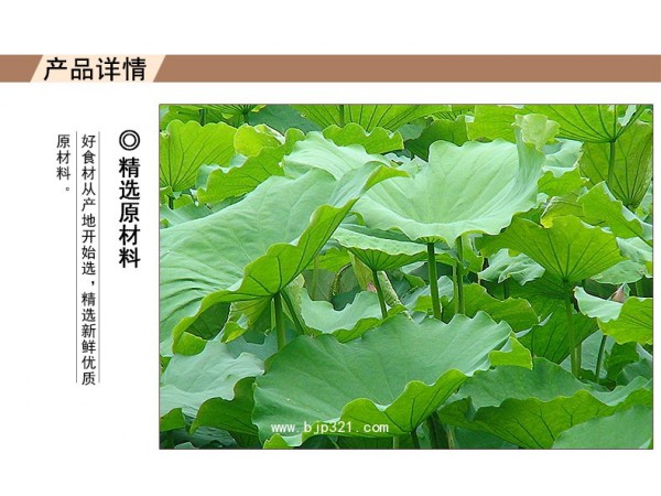 微山湖膳生荷葉粉