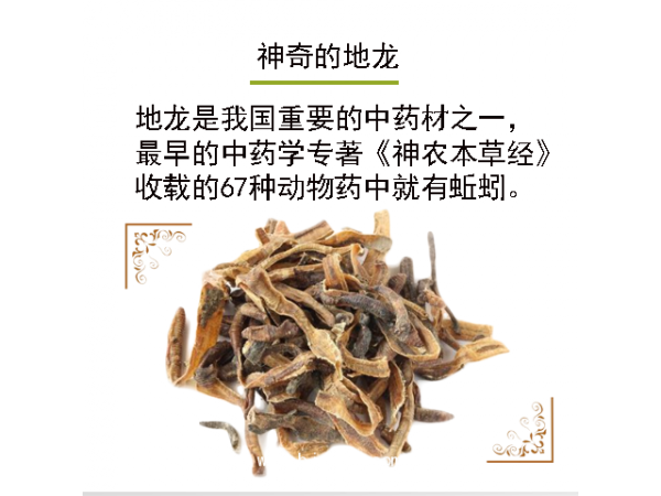 地龍蛋白慢性心腦適用