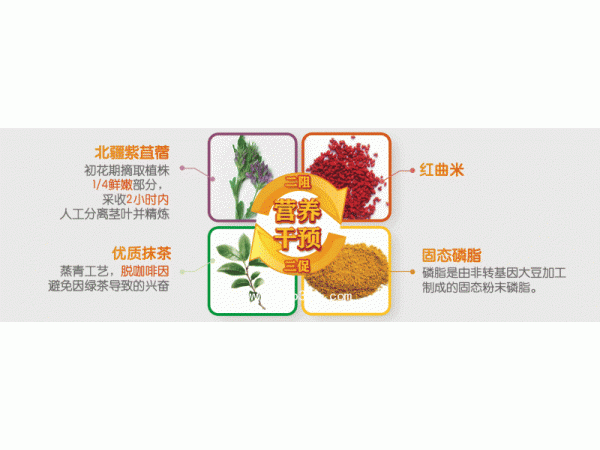 東方倍力紫金靈脂