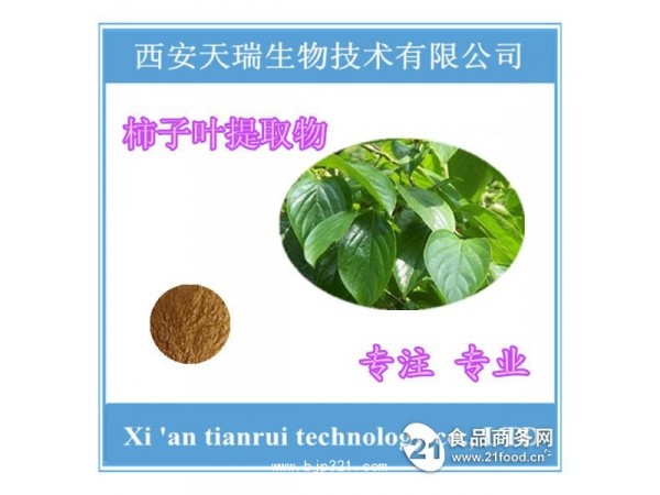 柿子葉提取物 柿子葉濃縮粉 天瑞生物