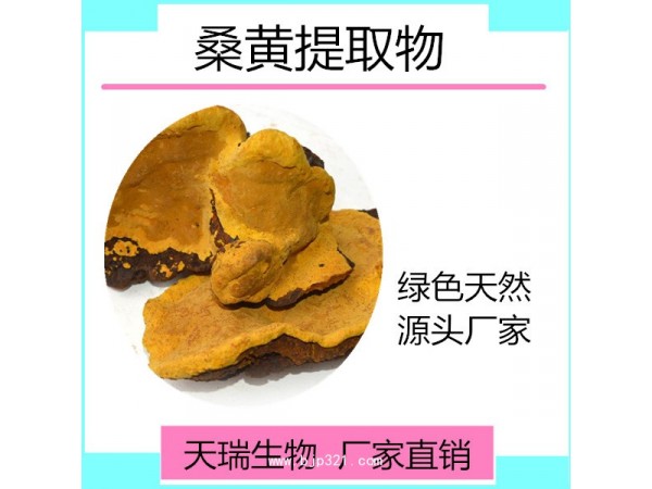 桑黃提取物 天瑞生物現(xiàn)貨