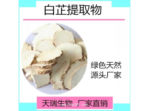 白芷提取物  白芷粉 天瑞生物專業(yè)提取廠家
