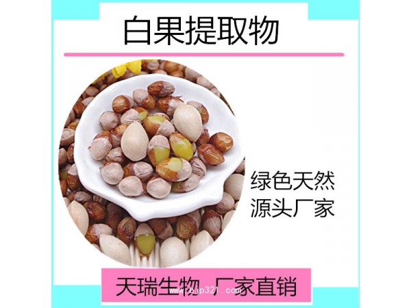 白果提取物