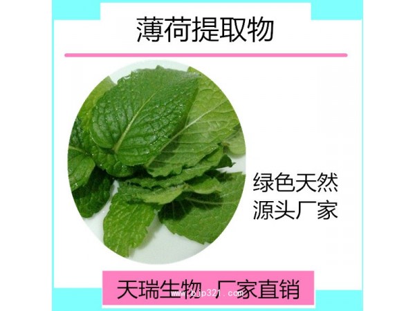 薄荷提取物