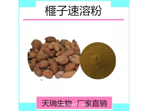 榧子提取物   榧子浸膏
