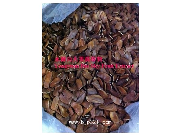 向天果提取物