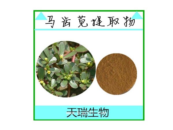馬齒莧提取物