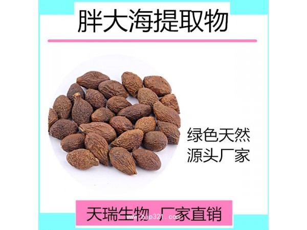 胖大海提取物