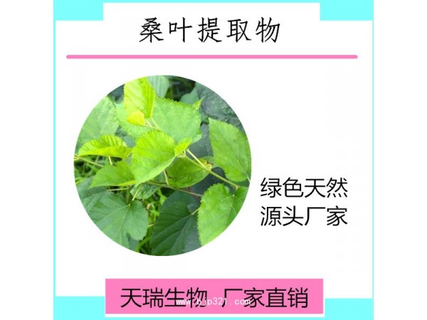 桑葉多糖
